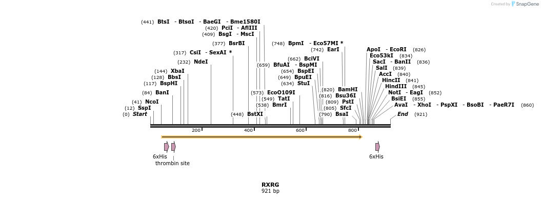 31481_map
