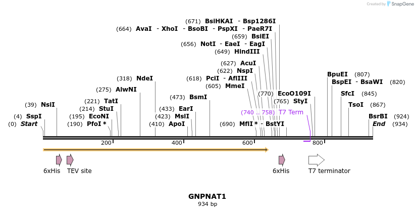 31482_map