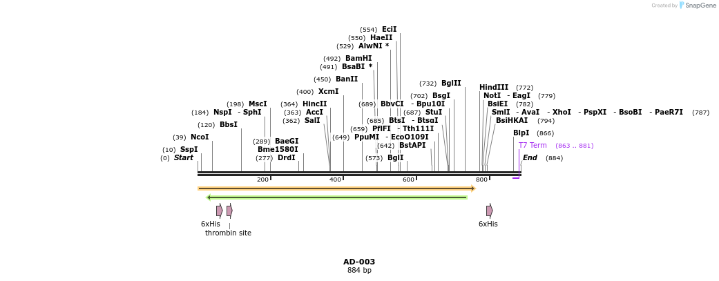 31483_map