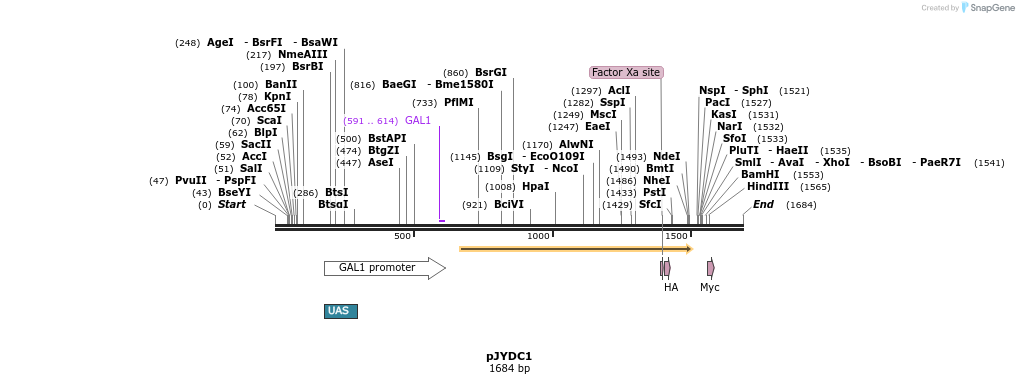 314850_map