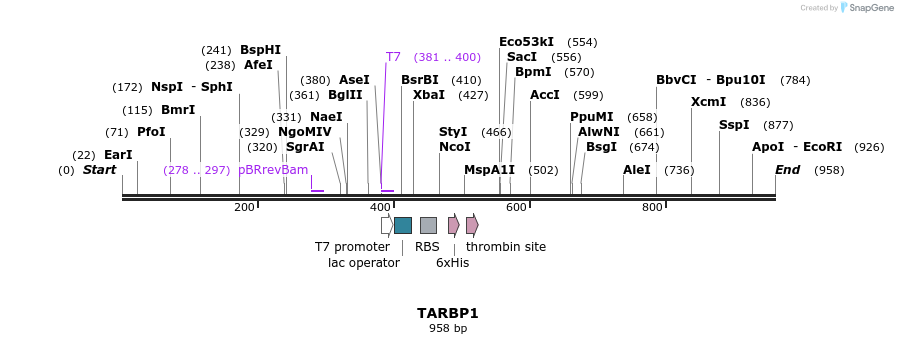 31486_map