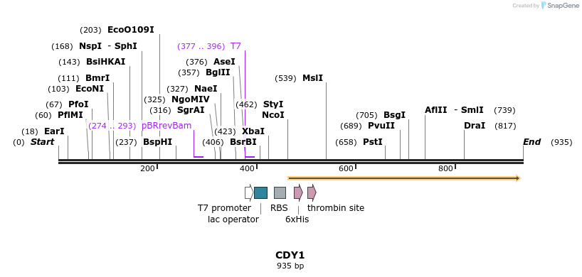 31487_map