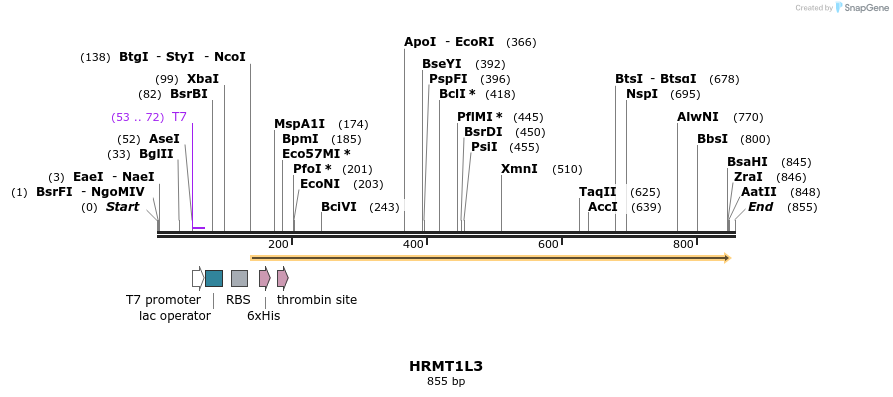 31489_map