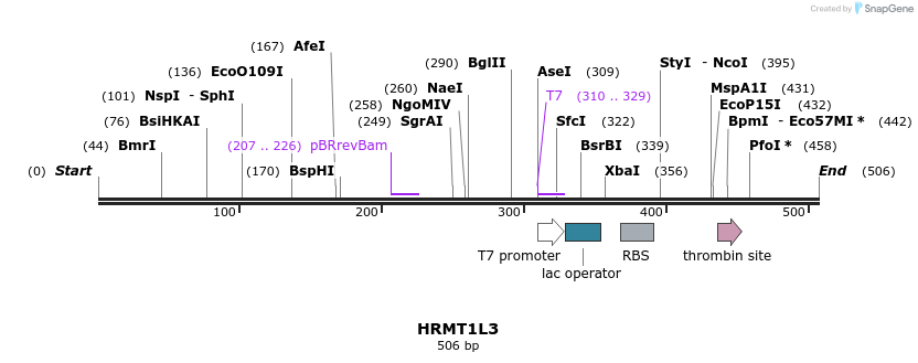 31490_map