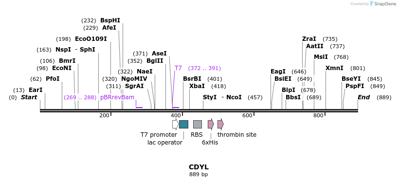 31491_map