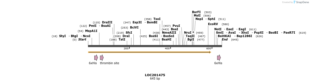 31494_map