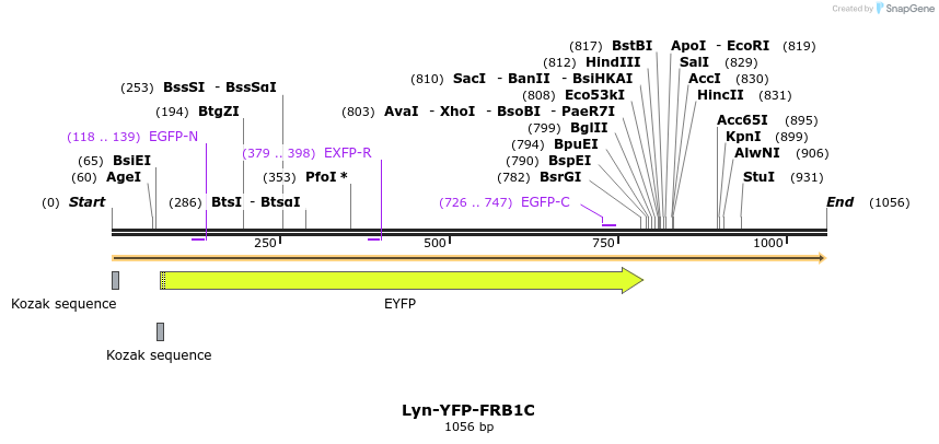 314981_map
