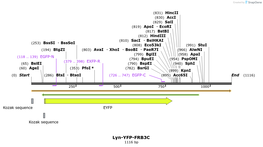 314989_map