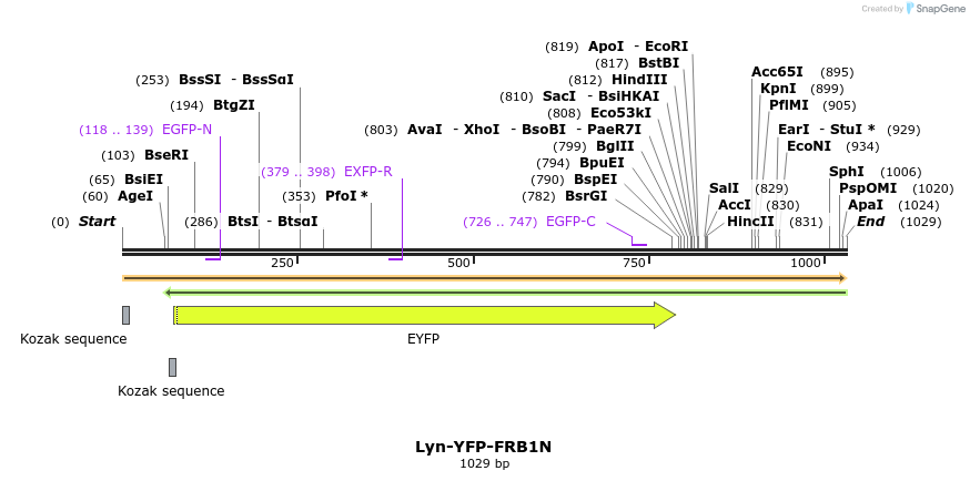 314996_map