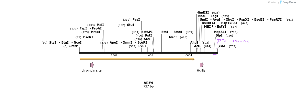 31503_map