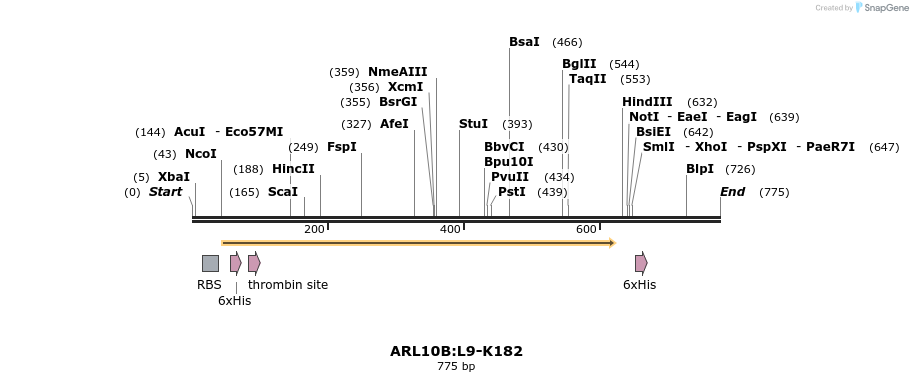 31506_map