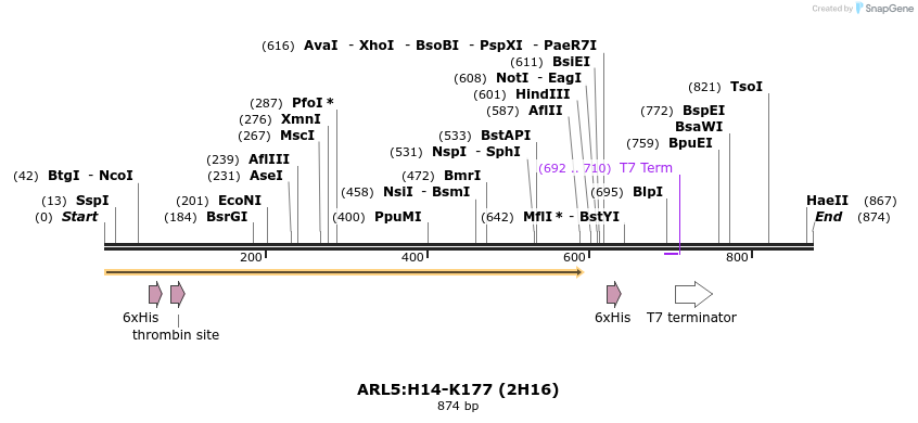 31509_map