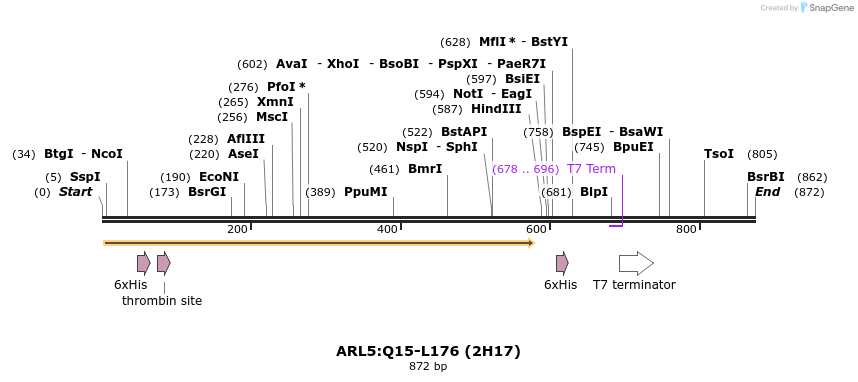 31510_map