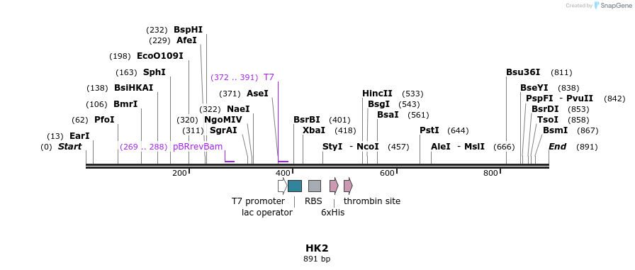 31512_map