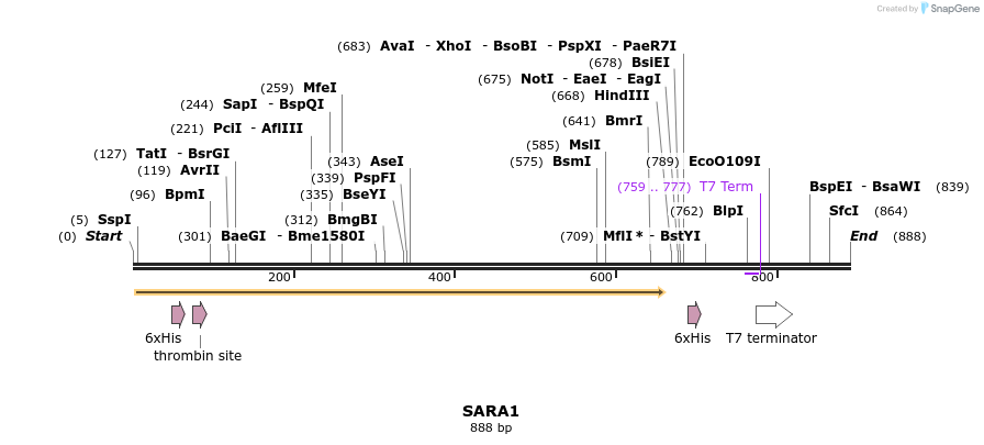 31514_map