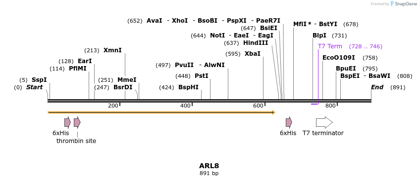 31516_map