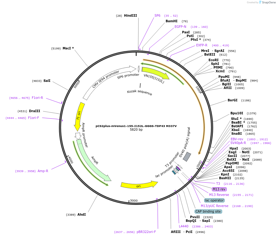 315192_map