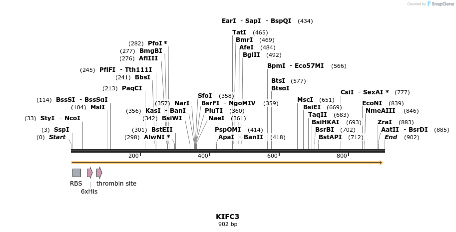 31520_map