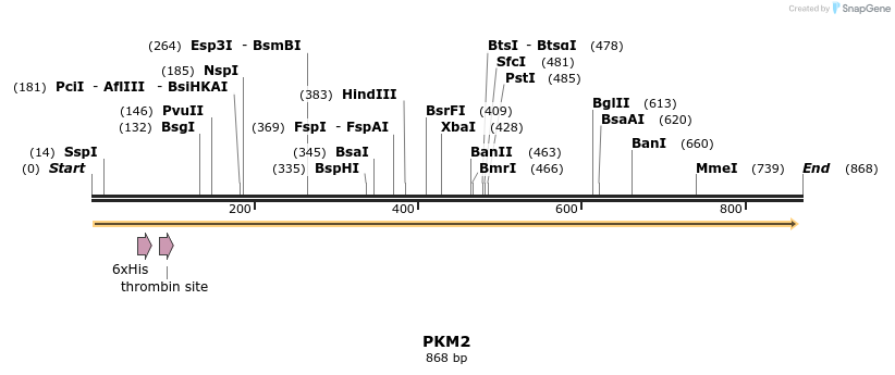 31521_map