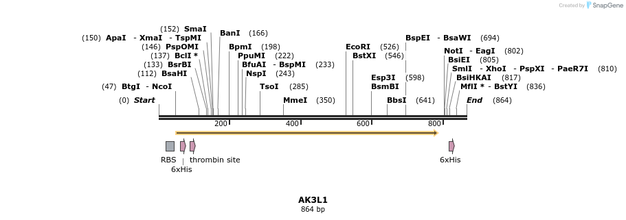 31524_map