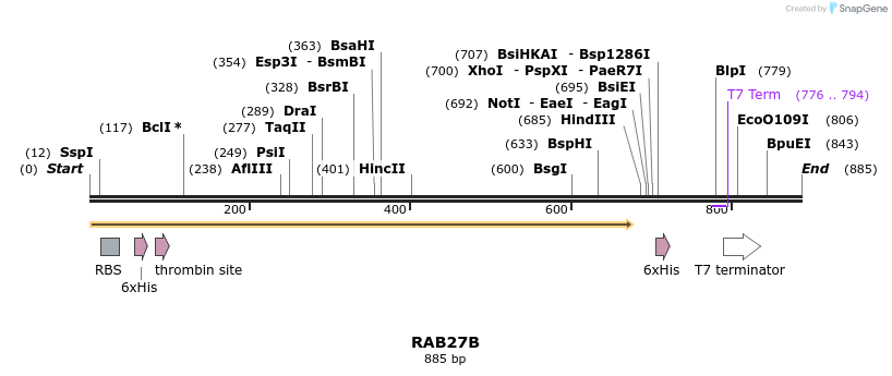 31528_map
