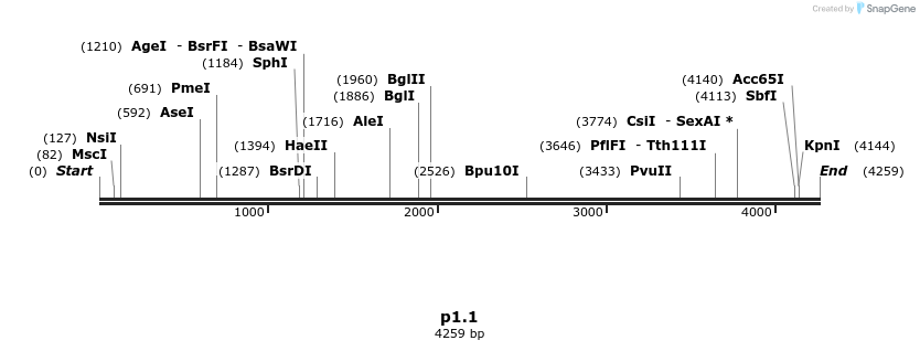 315285_map