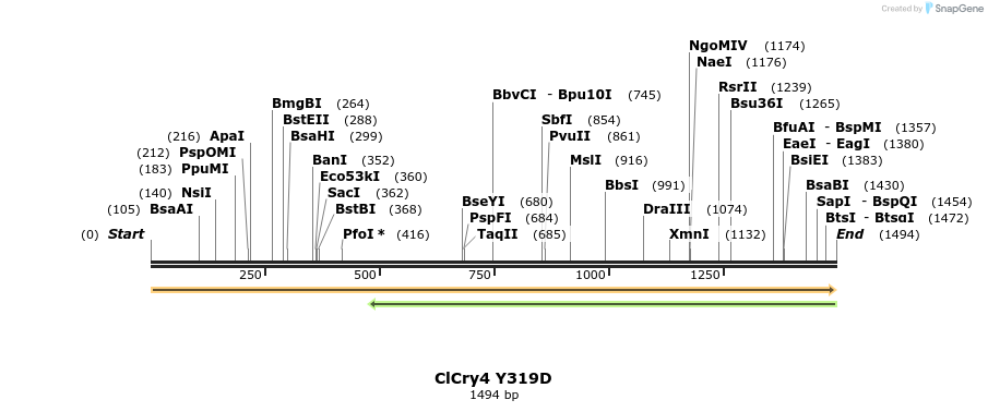 315303_map