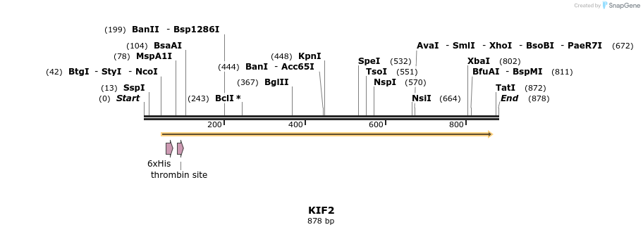 31531_map