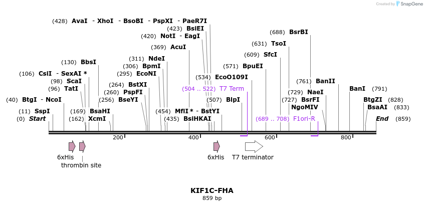31532_map