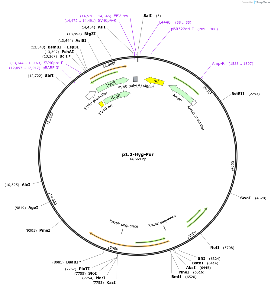 315330_map