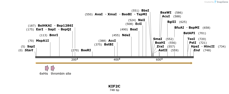 31534_map