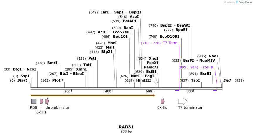 31535_map