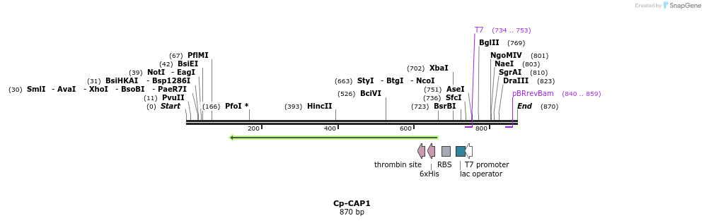 31541_map