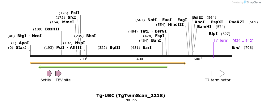 31548_map