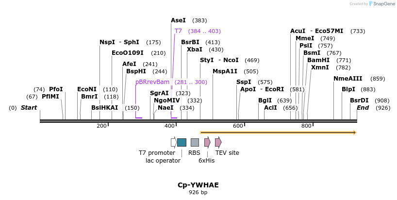 31549_map