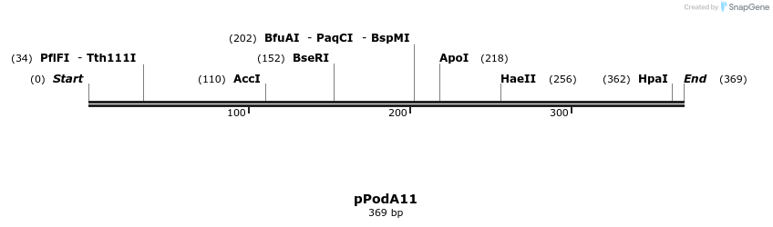 315532_map