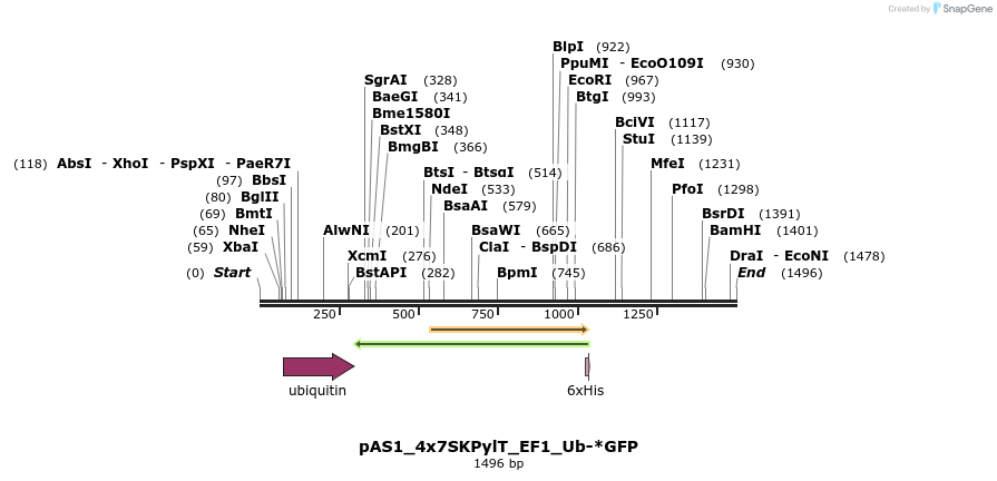 315557_map