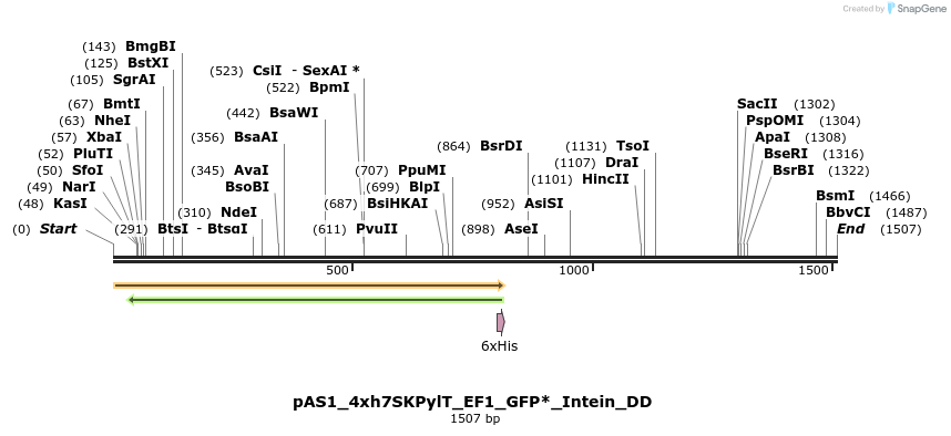 315563_map