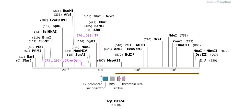 31560_map