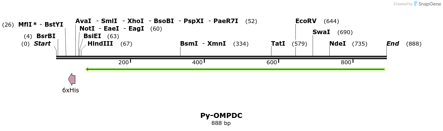 31561_map