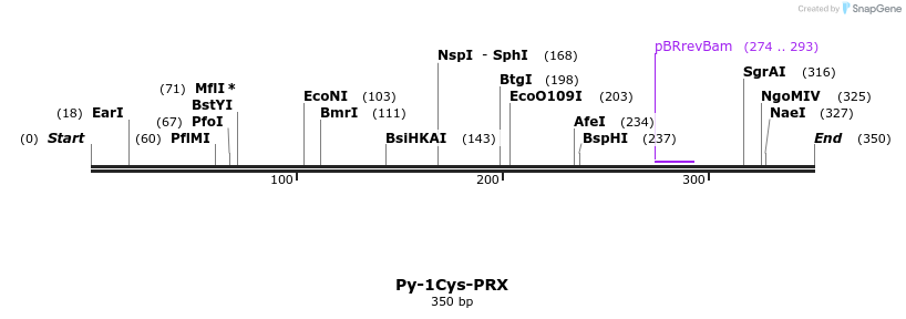 31565_map
