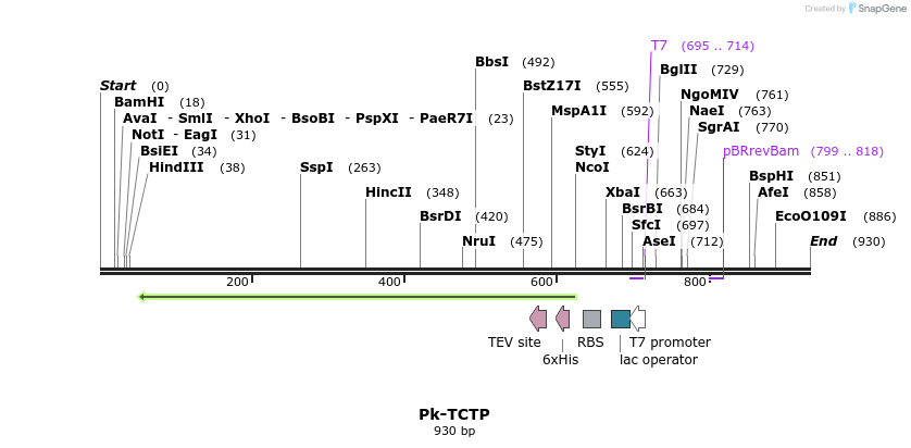 31568_map