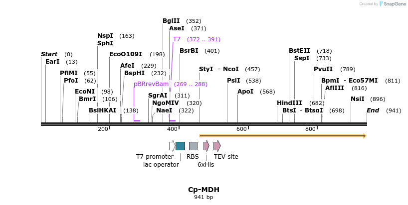 31569_map