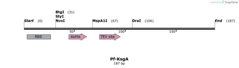 31571_map