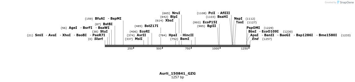 315732_map