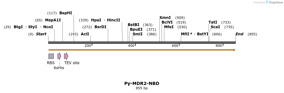 31576_map
