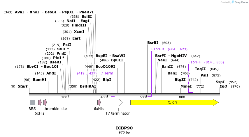 31582_map