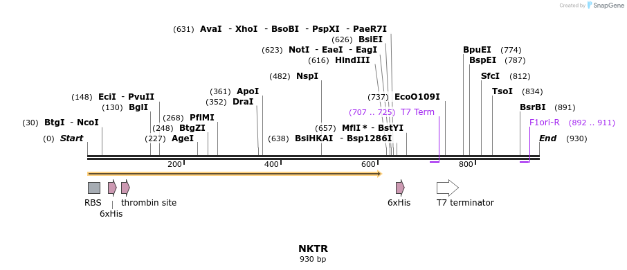 31583_map