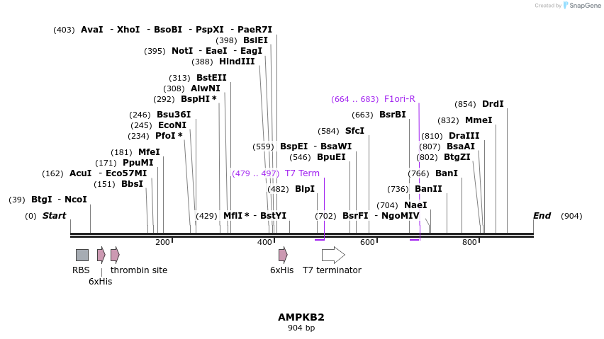 31590_map