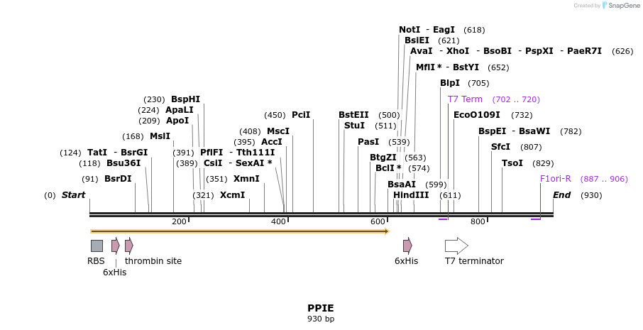 31591_map